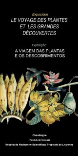 voyage_des_plantes